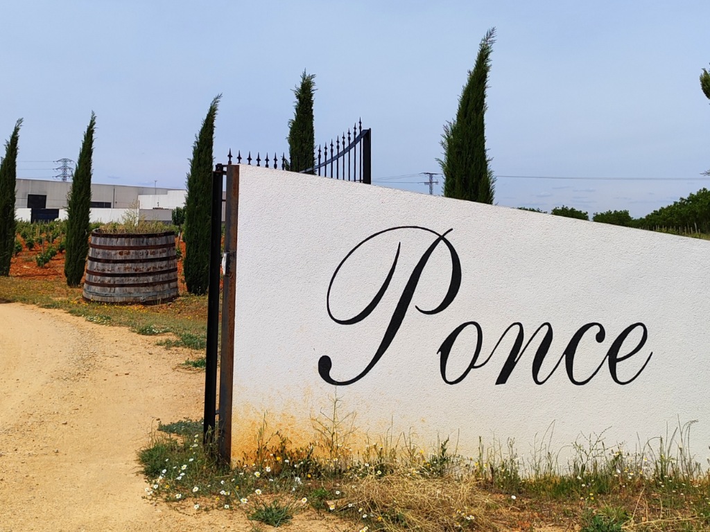 Visita a Bodegas y Viñedos Ponce