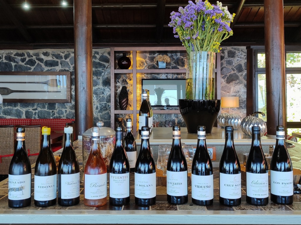 Cata de vinos en Suertes del Marqués